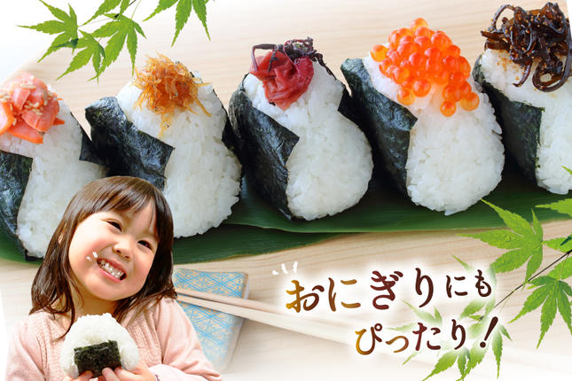 宮城県気仙沼市のふるさと納税 米 令和7年産 宮城県産 とまたんのひとめぼれ 3kg [サンフレッシュ小泉農園 宮城県 気仙沼市 20565645] ひとめぼれ ブランド米 白米 精米 ご飯 ごはん コメ こめ お米 小分け 家庭用