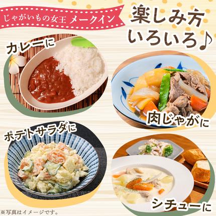 鹿児島県阿久根市のふるさと納税 訳あり！じゃがいも「メークイン」(約5kg) じゃがいも ジャガイモ 芋 国産 野菜 期間限定 数量限定【古田果樹園】akn093-01