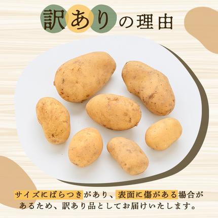 鹿児島県阿久根市のふるさと納税 訳あり！じゃがいも「メークイン」(約5kg) じゃがいも ジャガイモ 芋 国産 野菜 期間限定 数量限定【古田果樹園】akn093-01