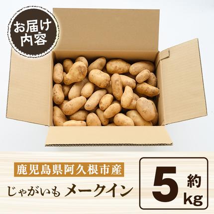 鹿児島県阿久根市のふるさと納税 訳あり！じゃがいも「メークイン」(約5kg) じゃがいも ジャガイモ 芋 国産 野菜 期間限定 数量限定【古田果樹園】akn093-01