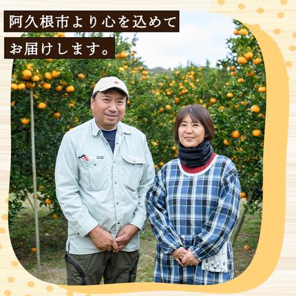 鹿児島県阿久根市のふるさと納税 訳あり！じゃがいも「メークイン」(約5kg) じゃがいも ジャガイモ 芋 国産 野菜 期間限定 数量限定【古田果樹園】akn093-01