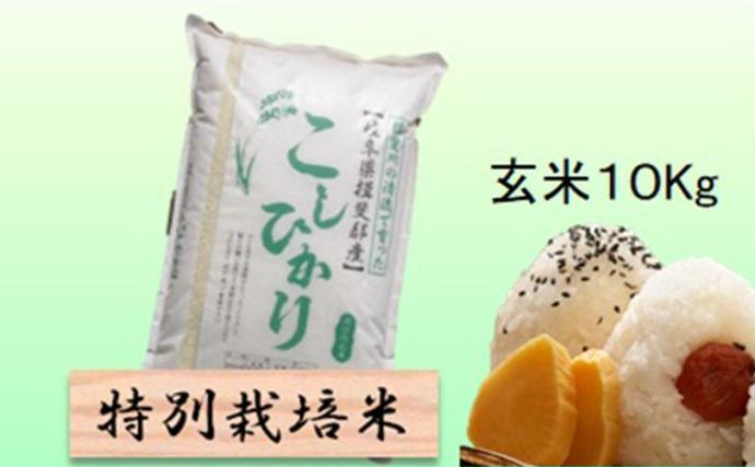 岐阜県池田町のふるさと納税 【令和7年産】特別栽培米 10kg【玄米】（コシヒカリ）