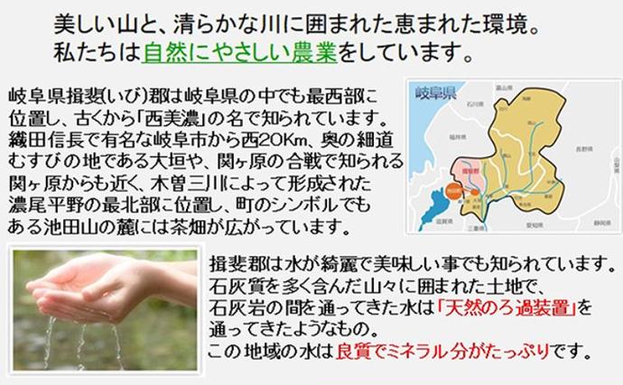 岐阜県池田町のふるさと納税 【令和7年産】特別栽培米 10kg【玄米】（コシヒカリ）