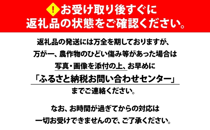 北海道倶知安町のふるさと納税 【 2026年 先行予約 】 北海道産 とうもろこし 味来 計12本 L-2L サイズ混合 大きめ みらい 旬 朝採り 新鮮 トウモロコシ 甘い 夏野菜 ハウス栽培 ハウス とうきび お取り寄せ 産地直送 野菜 しりべしや 送料無料
