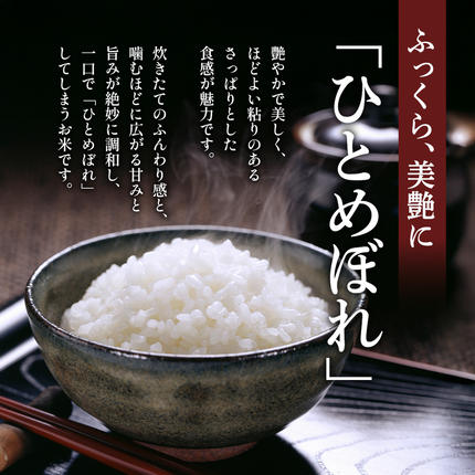宮城県大河原町のふるさと納税 ひとめぼれ 定期便6回/5kg×2 令和7年産 宮城県産 米 精米 白米