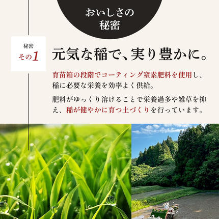 宮城県大河原町のふるさと納税 ひとめぼれ 定期便6回/5kg×2 令和7年産 宮城県産 米 精米 白米