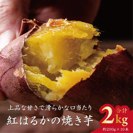 茨城県行方市のふるさと納税 ★ふるさと納税限定★Ms.YAKIIMO　紅はるかの焼き芋　2kg（10本）｜（AP-9）