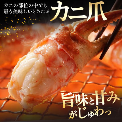 宮城県気仙沼市のふるさと納税 リピーター続出！ 本ずわいがに爪 約700g [カネダイ 宮城県 気仙沼市 20564321] 蟹 かに カニ ずわいがに ズワイガニ ずわい蟹 ズワイ蟹 ずわい ズワイ 蟹 カニ爪 蟹爪 カニ爪肉 つめ 爪 ボイル