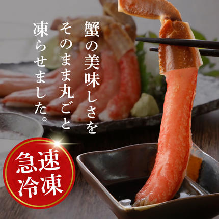 宮城県気仙沼市のふるさと納税 生本ずわいがに 棒肉 ポーション 20〜30本入 総重量 約500g [カネダイ 宮城県 気仙沼市 20564322] むき身 カニ かに 生 ずわいがに ズワイガニ ずわい蟹 ズワイ蟹 蟹 カニ カニ脚 蟹脚 カニ棒肉 カニ 蟹