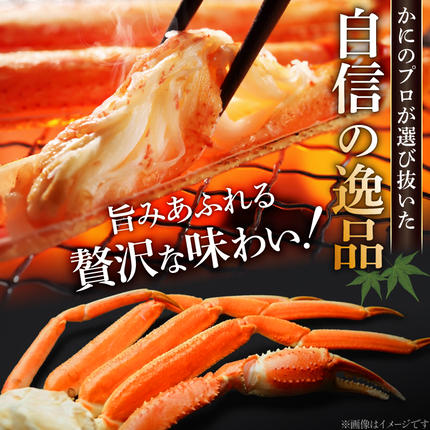 宮城県気仙沼市のふるさと納税 訳あり ボイル ずわいがに 肩付き脚 総重量1kg [カネダイ 宮城県 気仙沼市 20564325] カニ かに 魚介類 ズワイガニ ずわい蟹 ズワイ蟹 ずわい ズワイ 蟹 カニ カニ脚 蟹脚 不揃い 規格外 海鮮 ご褒美