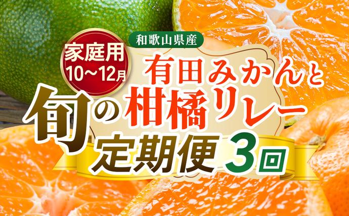 【定期便】家庭用 柑橘定期便 S 3回（1