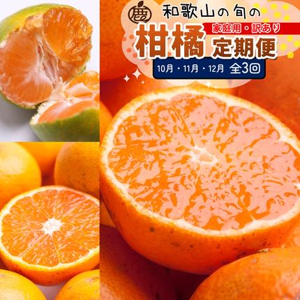 【定期便】家庭用 柑橘定期便 S 3回（1