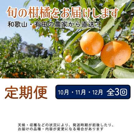 和歌山県美浜町のふるさと納税 【定期便】家庭用 柑橘定期便 S 3回（10～12月）※北海道・沖縄・離島への配送不可※10月・11月・12月に発送