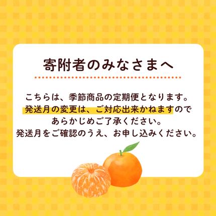 和歌山県美浜町のふるさと納税 【定期便】家庭用 柑橘定期便 S 3回（10～12月）※北海道・沖縄・離島への配送不可※10月・11月・12月に発送