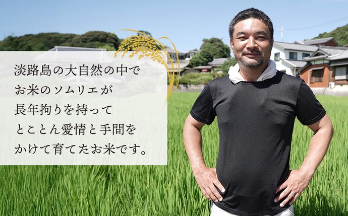 兵庫県淡路市のふるさと納税 【定期便】野添農園のコシヒカリ 5kgｘ12ヶ月「ひょうご安心ブランド」　[精米 白米]
