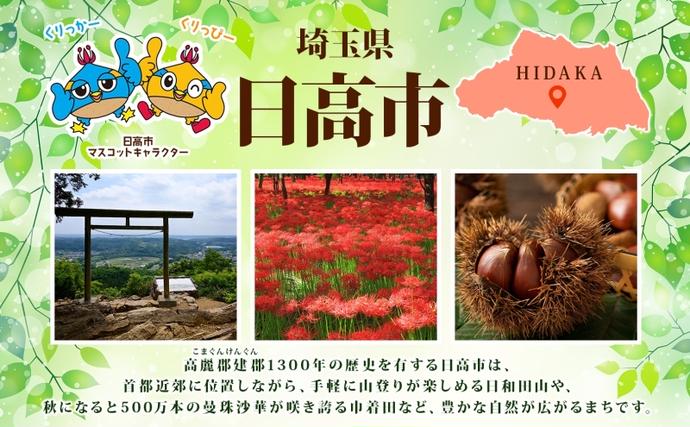 埼玉県日高市のふるさと納税 ウインナー4種とマスタードセット ギフト 贈り物 こだわり 豚肉 ゴールデンポーク 加工品 簡単調理 おつまみ おかず お弁当 朝食 定番 サイボク 埼玉県 日高市