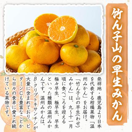 先行予約受付中！2026年9月下旬以降順次発送予定＞数量限定！竹ん子山