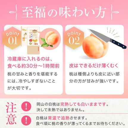岡山県赤磐市のふるさと納税 桃 2026年 先行予約 赤磐の 白桃 約1.5kg 5～7玉 JA晴れの国 糖度センサー選果 もも モモ 岡山県 赤磐市産 国産 フルーツ 果物 ギフト デザート 果肉