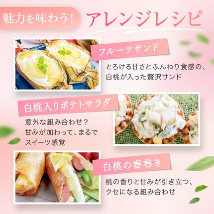 岡山県赤磐市のふるさと納税 桃 2026年 先行予約 赤磐の 白桃 約1.5kg 5～7玉 JA晴れの国 糖度センサー選果 もも モモ 岡山県 赤磐市産 国産 フルーツ 果物 ギフト デザート 果肉