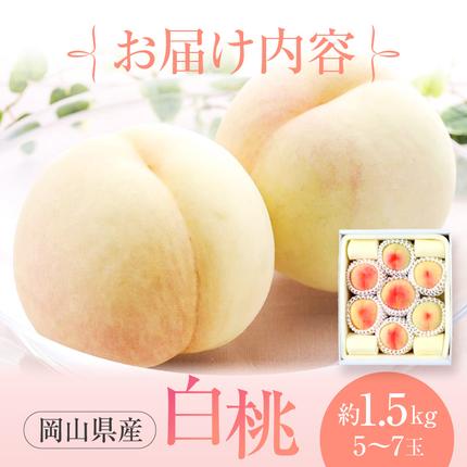 岡山県赤磐市のふるさと納税 桃 2026年 先行予約 赤磐の 白桃 約1.5kg 5～7玉 JA晴れの国 糖度センサー選果 もも モモ 岡山県 赤磐市産 国産 フルーツ 果物 ギフト デザート 果肉