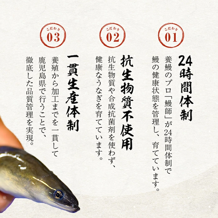 鹿児島県志布志市のふるさと納税 【無薬養鰻】 鹿児島産 山田のうなぎ ＜計480g以上＞（160g以上×3尾） 肝串セット 【ポータル限定】 a6-062-km