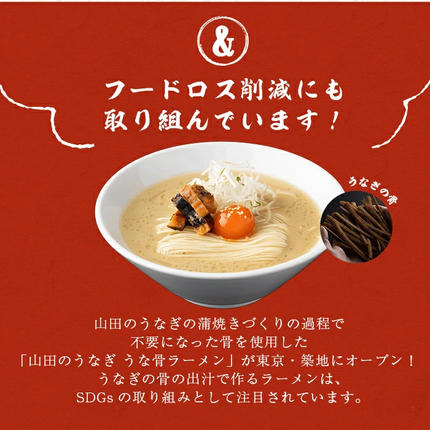 鹿児島県志布志市のふるさと納税 【無薬養鰻】 鹿児島産 山田のうなぎ ＜計480g以上＞（160g以上×3尾） 肝串セット 【ポータル限定】 a6-062-km