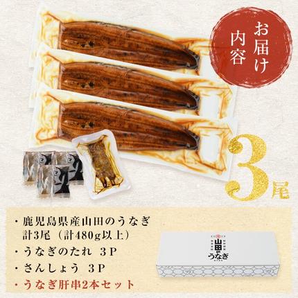 鹿児島県志布志市のふるさと納税 【無薬養鰻】 鹿児島産 山田のうなぎ ＜計480g以上＞（160g以上×3尾） 肝串セット 【ポータル限定】 a6-062-km