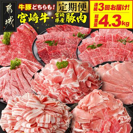 ≪3回連続お届け≫とにかくお肉大好き!宮崎牛と宮崎県産豚定期便M(総重量4.3kg)〔T48-3-N201〕 牛肉 宮崎牛 焼肉 BBQ 食べ比べ スライス 大容量 冷凍 1kg 人気 都城市