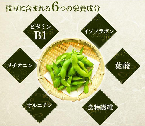 特製 ずんだ餅 [5個入り×4パック]｜宮城 仙台 名物 銘菓 和菓子 枝豆