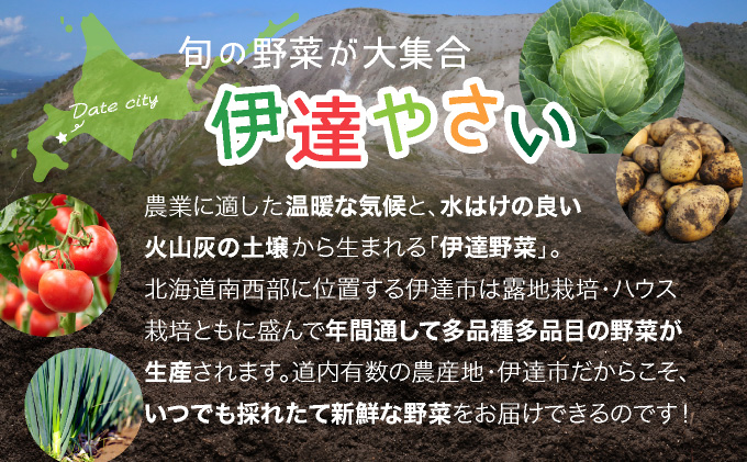 北海道伊達市のふるさと納税 【2026年発送】【先行予約】 北海道 伊達市 産直・旬のおまかせ野菜詰合せ 9〜10種 dnk-001