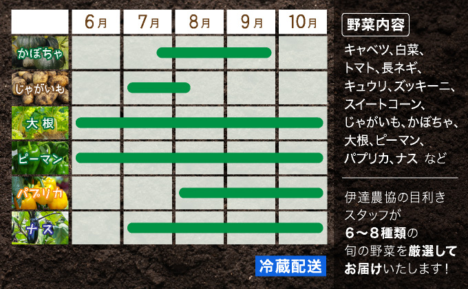 北海道伊達市のふるさと納税 【2026年発送】【先行予約】 北海道 伊達市 産直・旬のおまかせ野菜詰合せ 9〜10種 dnk-001