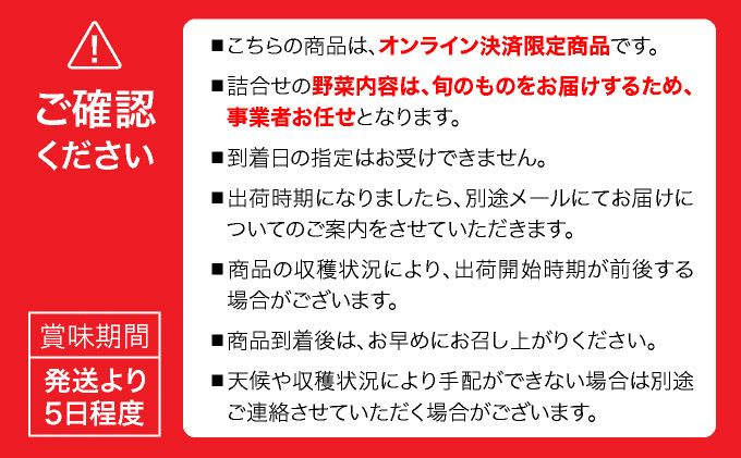 北海道伊達市のふるさと納税 【2026年発送】【先行予約】 北海道 伊達市 産直・旬のおまかせ野菜詰合せ 9〜10種 dnk-001