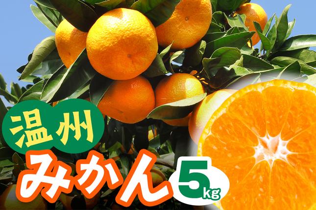 [2025年12月下旬頃から発送] 温州み