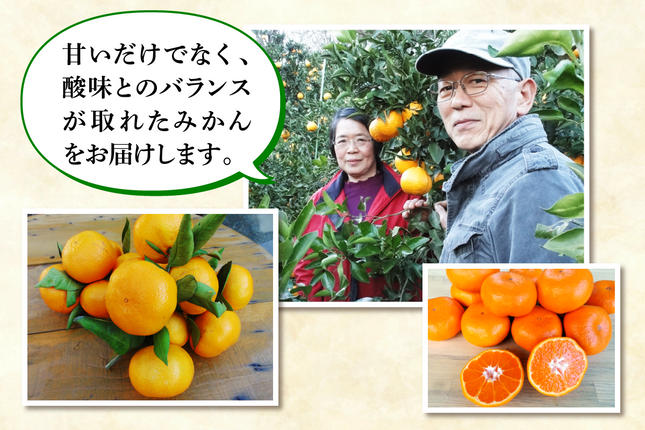 神奈川県伊勢原市のふるさと納税 [2025年12月下旬頃から発送] 温州みかん 5kg｜先行予約 みかん フルーツ 果物 柑橘 [0535]