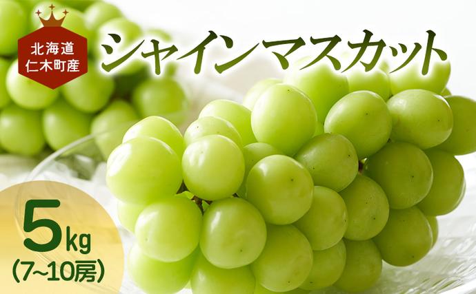 北海道仁木町のふるさと納税 [先行受付] 北海道 仁木町産 シャインマスカット 7～10房 5kg 果物 ぶどう フルーツ 果物類 ブドウ マスカット [JA新おたる]