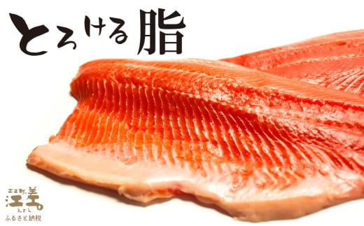 北海道江差町のふるさと納税 【訳あり】北海道産 サーモン お刺身用ブロック 500g（約5～7パック前後）　日本海 かもめ島海面養殖　純国産 ブランドサーモン『江さしっ子 繁虎』　衝撃の口どけ　とろける脂　生食可　冷凍　小分け　個包装　トラウトサーモン　刺身　サーモンステーキ　カルパッチョ　海鮮　鮭　さけ　シャケ　しゃけ　さーもん　切り落とし　規格外