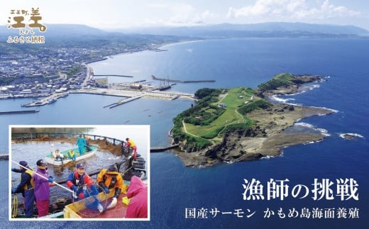 北海道江差町のふるさと納税 【訳あり】北海道産 サーモン お刺身用ブロック 500g（約5～7パック前後）　日本海 かもめ島海面養殖　純国産 ブランドサーモン『江さしっ子 繁虎』　衝撃の口どけ　とろける脂　生食可　冷凍　小分け　個包装　トラウトサーモン　刺身　サーモンステーキ　カルパッチョ　海鮮　鮭　さけ　シャケ　しゃけ　さーもん　切り落とし　規格外