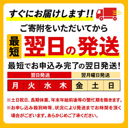 水 《定期便3ヶ月》国産 ミネラルウォーター ピュアの森 500ml 24本×1