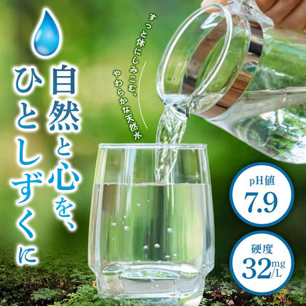 水 《定期便9ヶ月》国産 ミネラルウォーター ピュアの森 500ml 24本×1