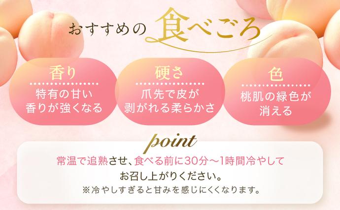 岡山県瀬戸内市のふるさと納税 桃 2026年 先行予約 岡山 白桃 ロイヤル  約1kg 4～6玉 JAおかやまのもも（早生種・中生種） もも モモ 岡山県産 国産 フルーツ 果物 ギフト