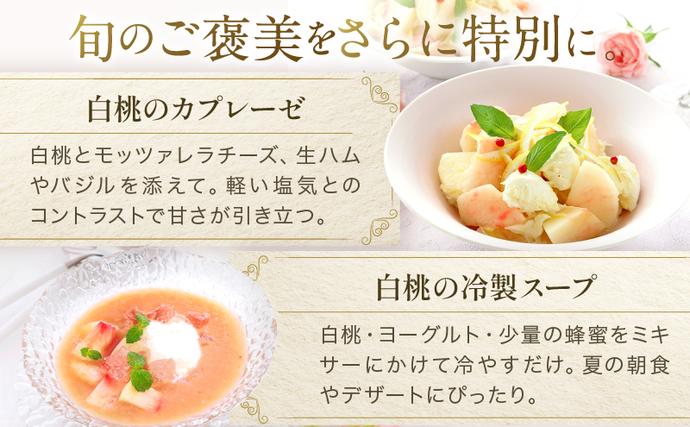 岡山県瀬戸内市のふるさと納税 桃 2026年 先行予約 岡山 白桃 ロイヤル  約1kg 4～6玉 JAおかやまのもも（早生種・中生種） もも モモ 岡山県産 国産 フルーツ 果物 ギフト