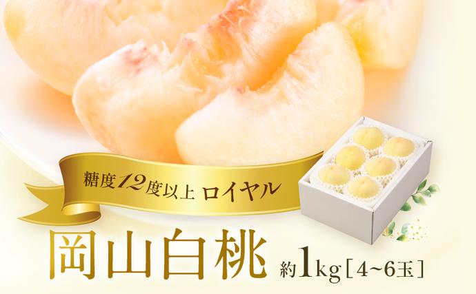 岡山県瀬戸内市のふるさと納税 桃 2026年 先行予約 岡山 白桃 ロイヤル  約1kg 4～6玉 JAおかやまのもも（早生種・中生種） もも モモ 岡山県産 国産 フルーツ 果物 ギフト