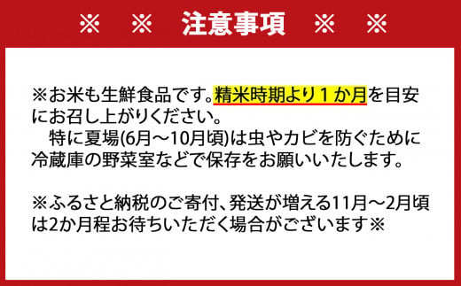 佐賀県大町町のふるさと納税  [令和7年産] 特A評価 さがびより 白米 5kg
