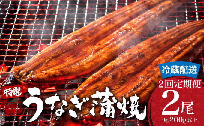 [定期便2回] うなぎ蒲焼き 計800g (200g×2尾×2回) 冷蔵
