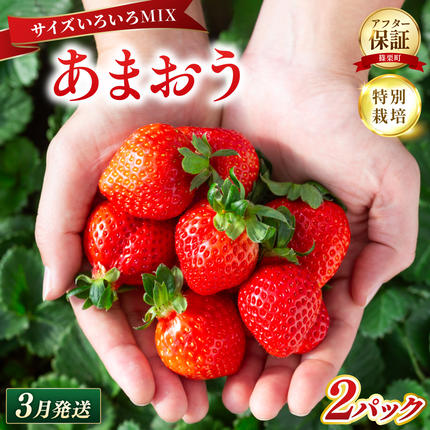 いちご 福岡県産 特別栽培 あまおう サイ