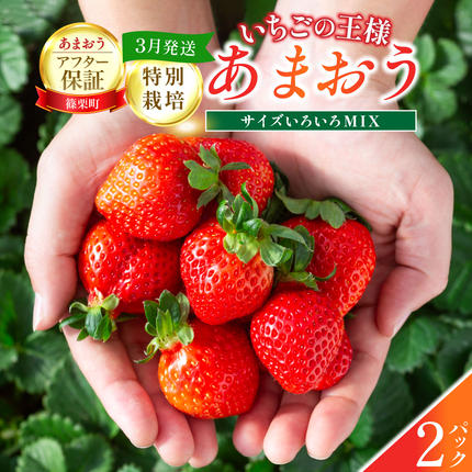 福岡県篠栗町のふるさと納税 福岡県産 特別栽培 あまおう サイズいろいろMIX 約570g（約285g×2パック）【3月発送】　農園直送 アフター保証 先行予約 福岡産 送料無料 ケーキ ギフト お祝い 限定 季節限定 UN006