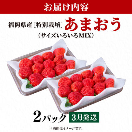 いちご 福岡県産 特別栽培 あまおう サイズいろいろMIX 約570g（約285g