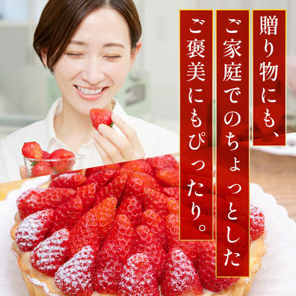 福岡県篠栗町のふるさと納税 いちご 福岡県産 特別栽培 あまおう サイズいろいろMIX 約570g（約285g×2パック）【4月発送】　農園直送 アフター保証 先行予約 福岡産 送料無料 ケーキ ギフト お祝い 限定 季節限定 UN007