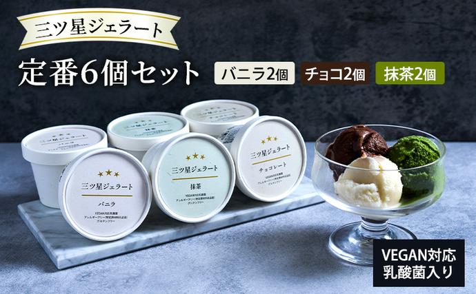 世界中の人たちが食べられる!VEGAN対応乳酸菌入り「三ツ星ジェラート」定番6個セット(バニラ×2、チョコ×2、抹茶×2)ジェラート セット アイス スイーツ 豊島区 東京