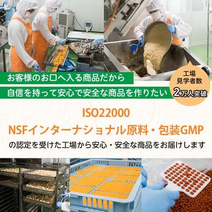 鹿児島県日置市のふるさと納税 No.898 ＜機能性表示食品＞GABA100(62粒入×2袋・計124粒)【てまひま堂】